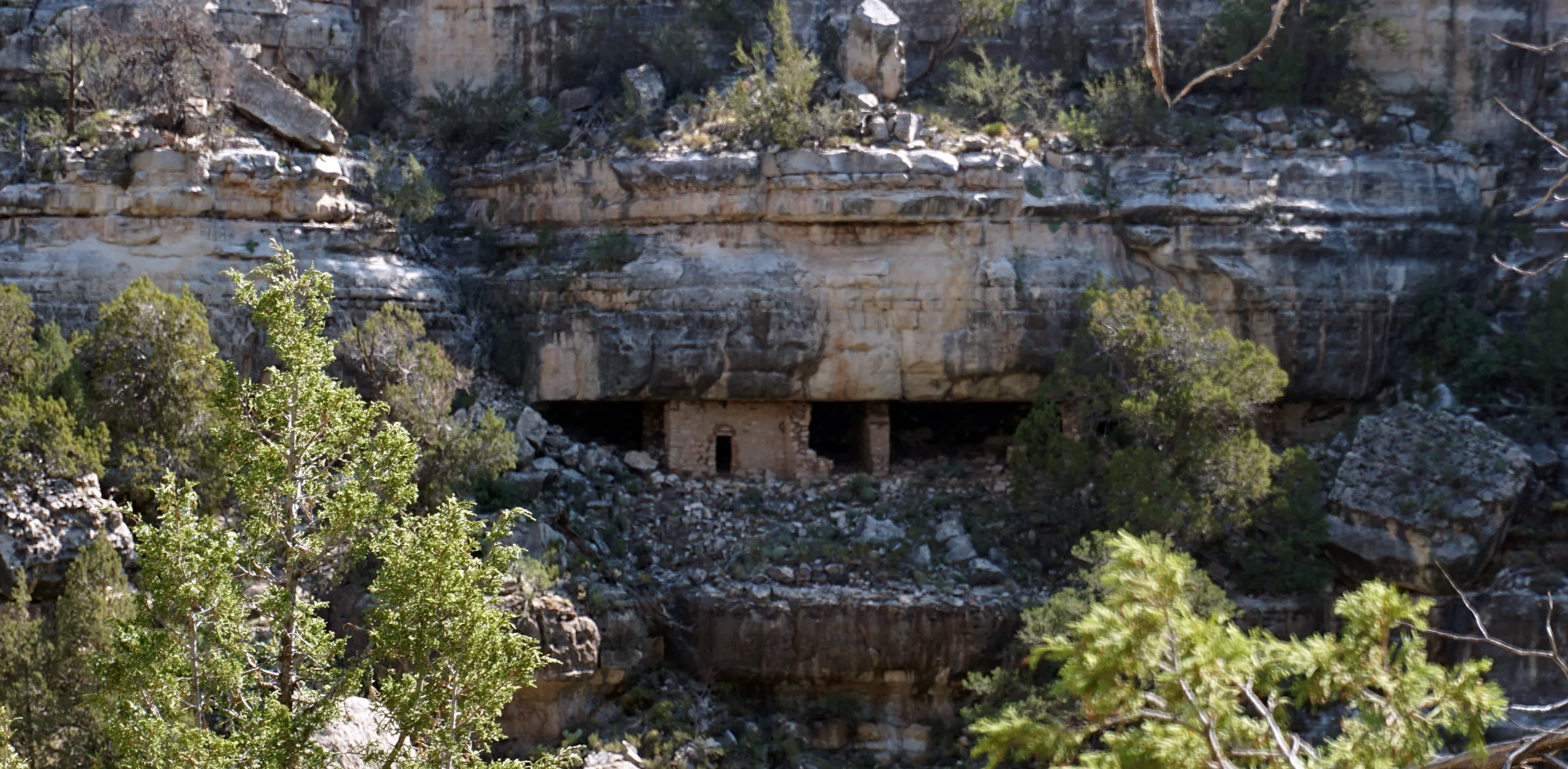 Cliff dwelling across Walnut Canyon